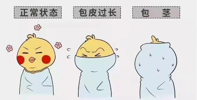 齐齐哈尔包皮包茎天行官方网站
